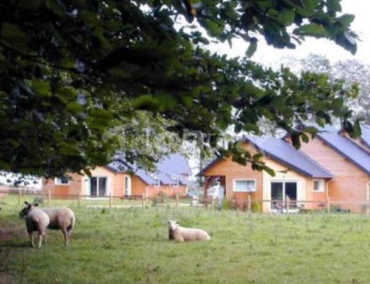 La Ferme Pillet Villa Berville-en-Caux Exterior foto